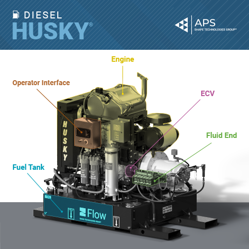 Q/A: How does the Husky Stands Out?